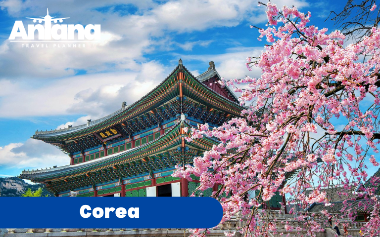 18_COREA